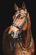 Load image into Gallery viewer, Schockemohle Equitus Gamma Double Bridle