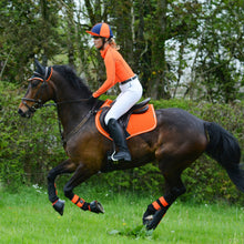 Load image into Gallery viewer, Woof Wear Performance Riding Shirts