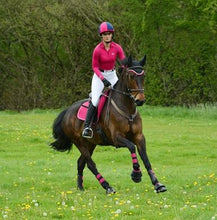 Load image into Gallery viewer, Woof Wear Performance Riding Shirts